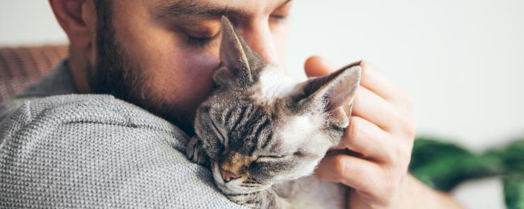 main of Owning a Cat Is a Unique and Wonderful Experience