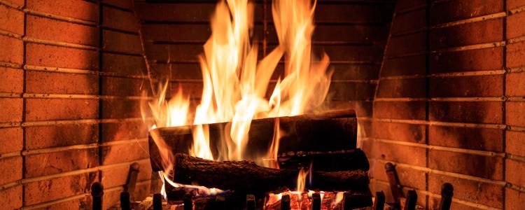 main of Nothing is More Comforting on a Cold Day Than a Warm Fire