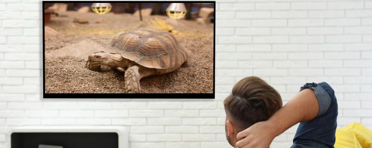 main of Which TV Is Actually The Best Smart TV?