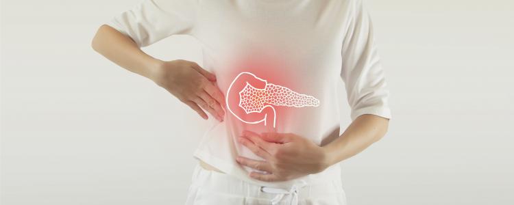 main of The Pancreas Performs An Important Role In the Body
