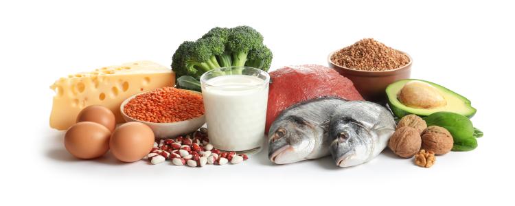 main of High Protein Diet